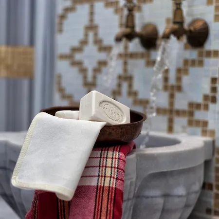 Ramada Plaza By Wyndham Izmit 5* Κοτζαελί